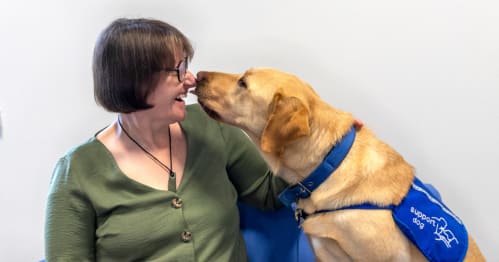 A woman with a green top on is being touched on the nose by a yellow labrador wearing a blue support assistance dog jacket